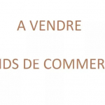 FONDS DE COMMERCE RESTAURANT BIOT
