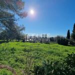 TERRAIN CONSTRUCTIBLE 16000m² GRASSE