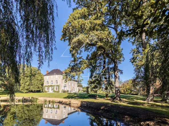 Castle with 4.1 ha park, body of water, swimming pool, dependence, tennis, stable.