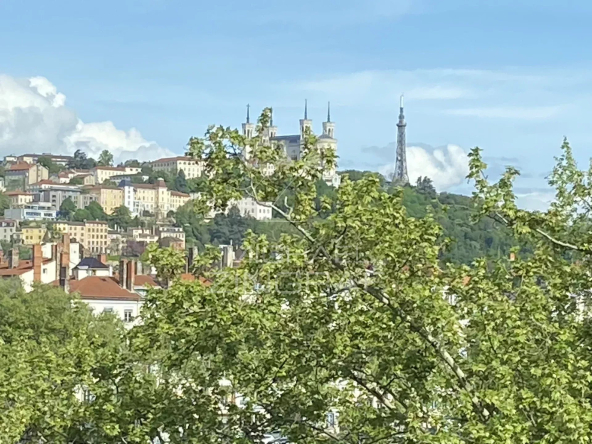 Magnifique appartement familial, berges du Rhône, vue Fourvière