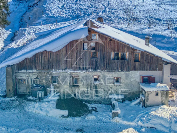 Ferme ancienne ski in & out  – Vue, calme & authenticité