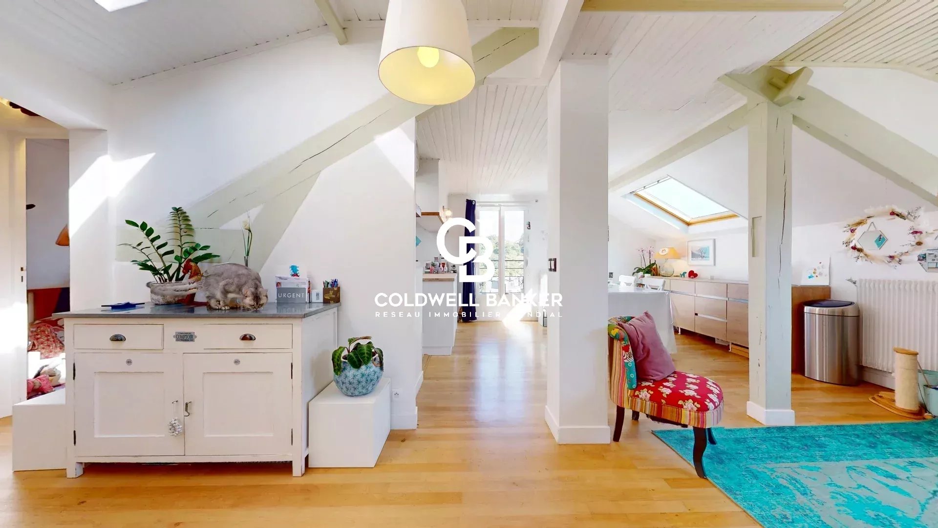 55c1dbf8819a883e698b5f12a2f79f79_01bd3a4894_1920-original