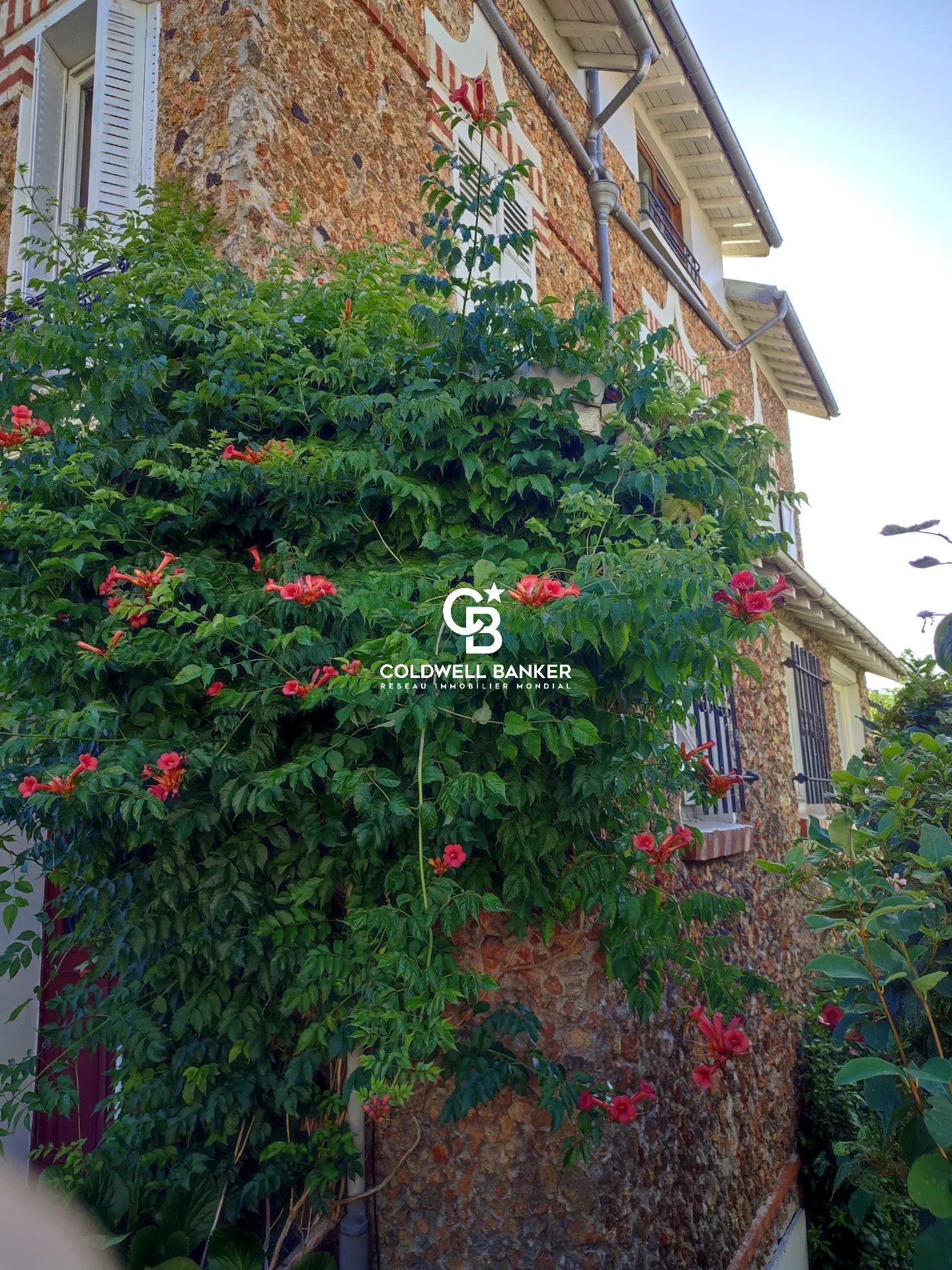 fb77d26f32413f73a903c268195c24a1_73c9c121b5_1920-original