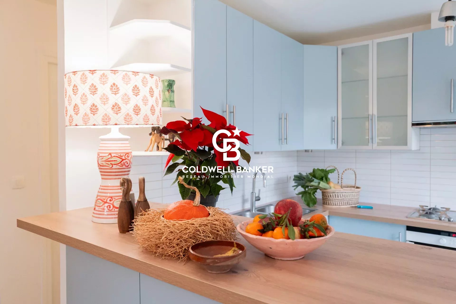 7347313b812d3776c269d9c250f0531e_755f750157_1920-original