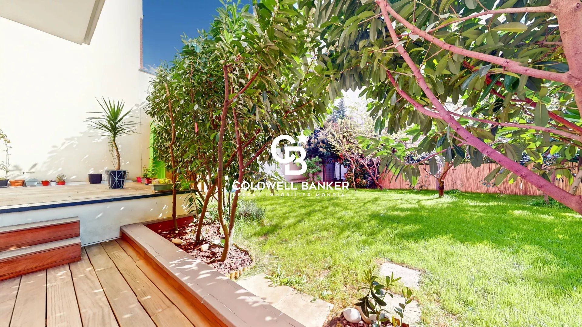 Sunlit backyard with a wooden deck, steps, and potted plants along a white wall, leading to a lush green lawn. Watermark: Coldwell Banker.