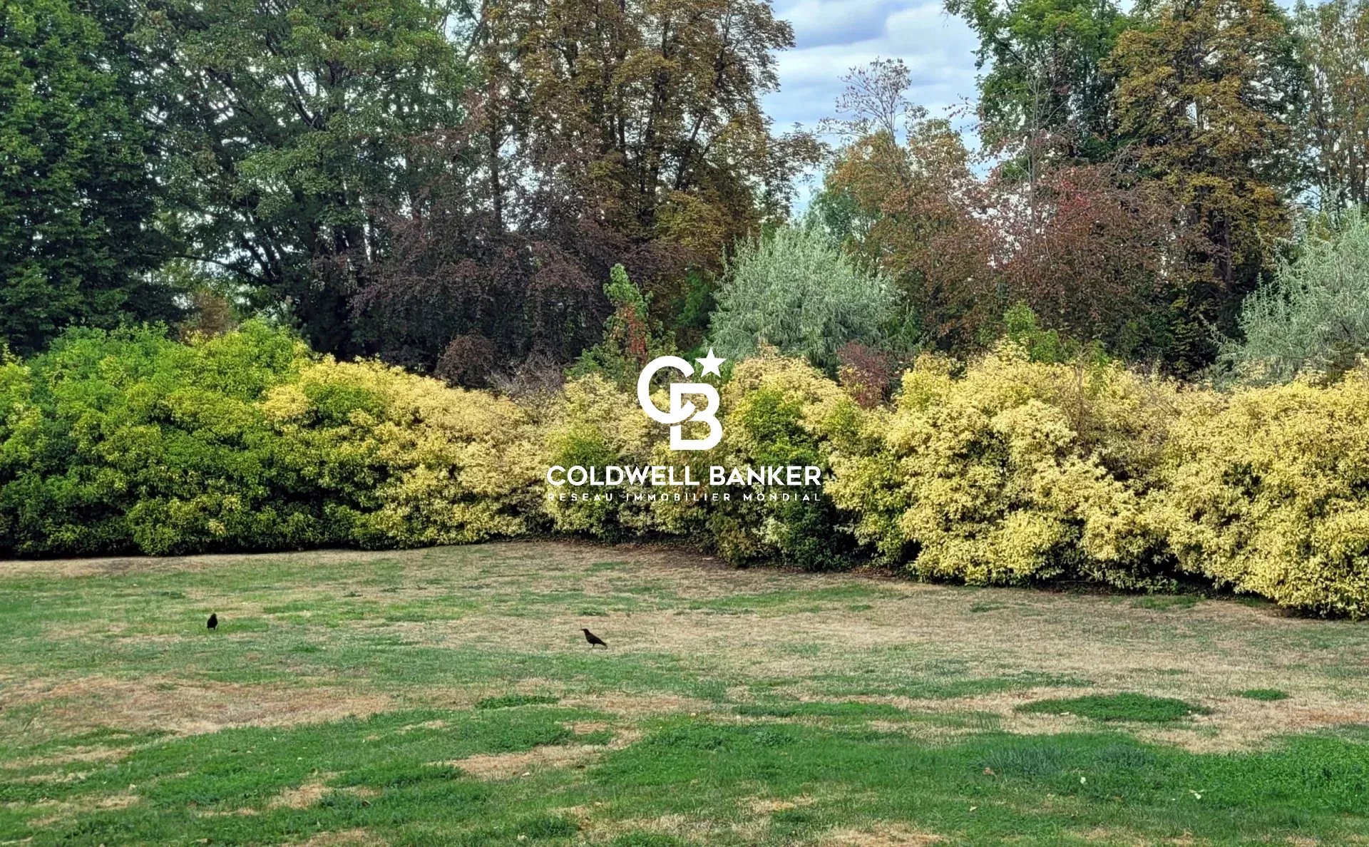 Vue du jardin du Château des Montalets avec des buissons fleuris et des oiseaux.
