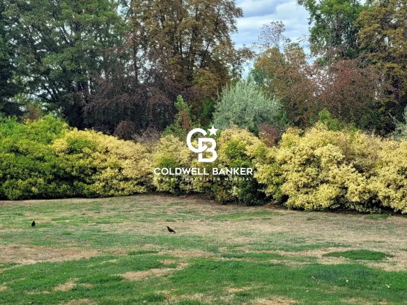 Vue du jardin avec des buissons fleuris et des arbres autour du Château des Montalets à Issy-les-Moulineaux.
