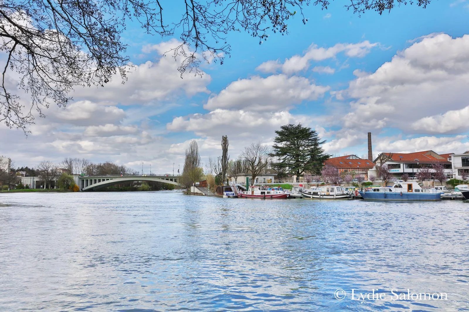 Vue de la Marne à Joinville-le-Pont Vue de la Marne avec des bateaux et un pont à Joinville-le-Pont sous un ciel nuageux.