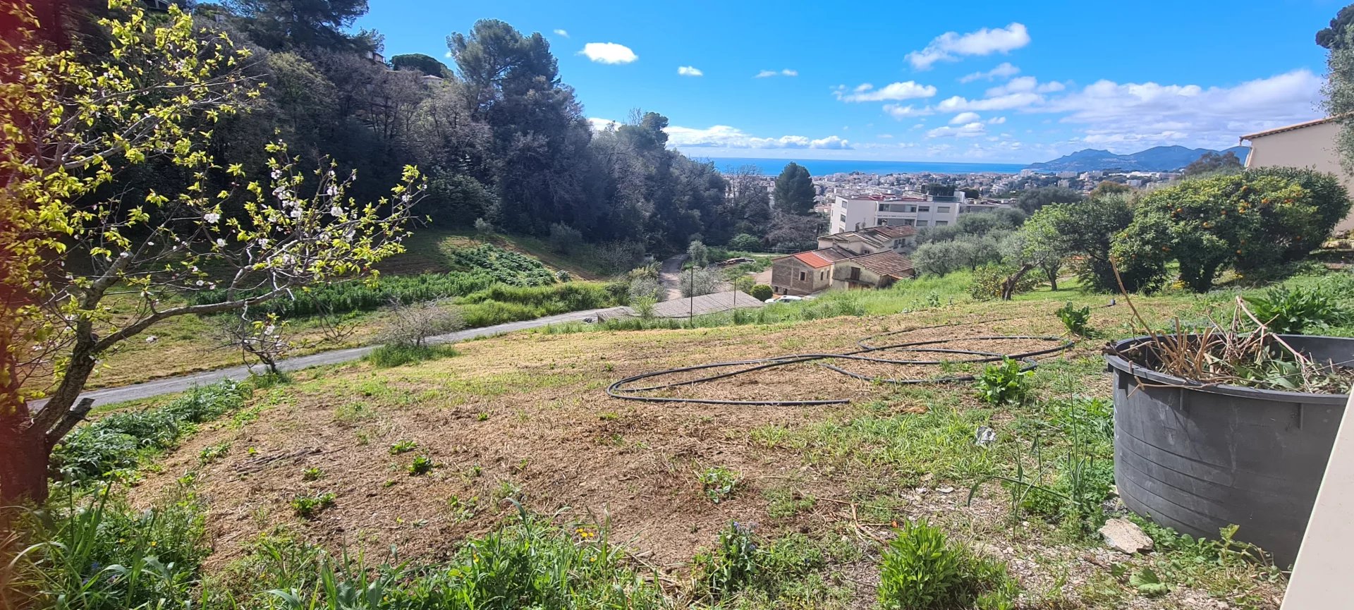 Terrain à Le Cannet avec vue mer Terrain constructible de 1.550m² avec vue mer sur la baie de Cannes et Le Suquet.