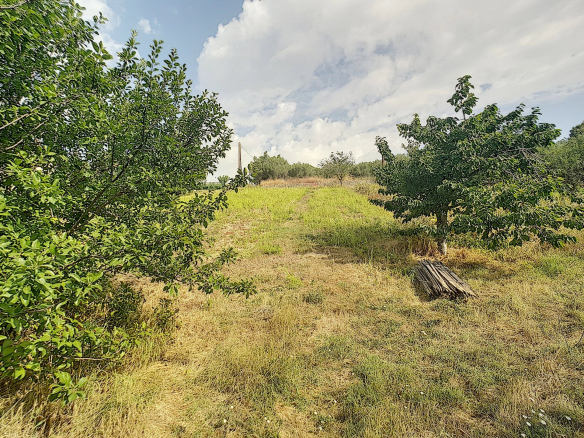 Terrain constructible légèrement pentu avec vue sur la mer à Le Cannet, entouré d'arbres et de végétation.
