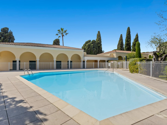 Piscine d'une résidence de standing à Cannes, entourée de palmiers et de verdure.