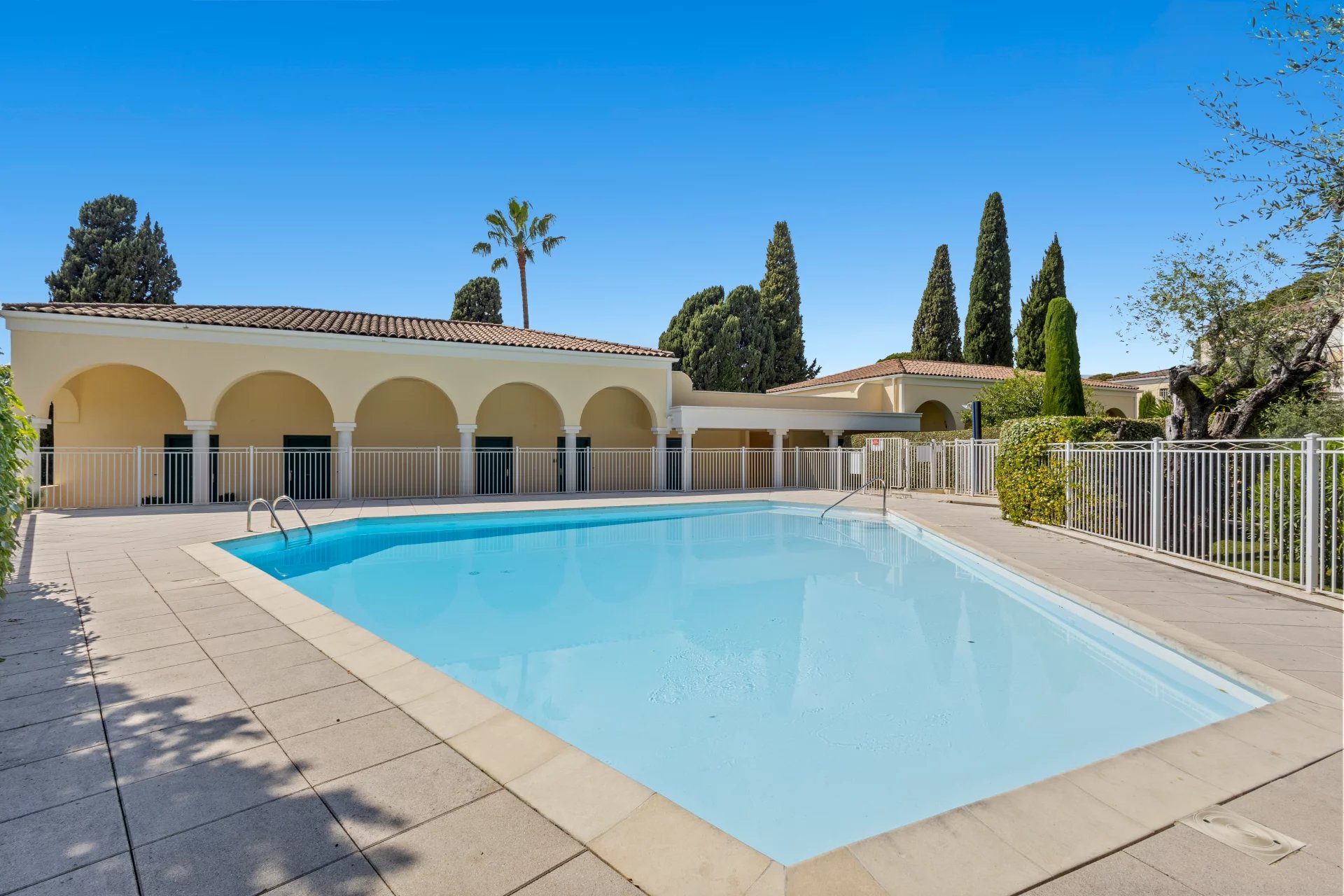 Piscine d'une résidence de standing à Cannes, entourée de palmiers et de verdure.