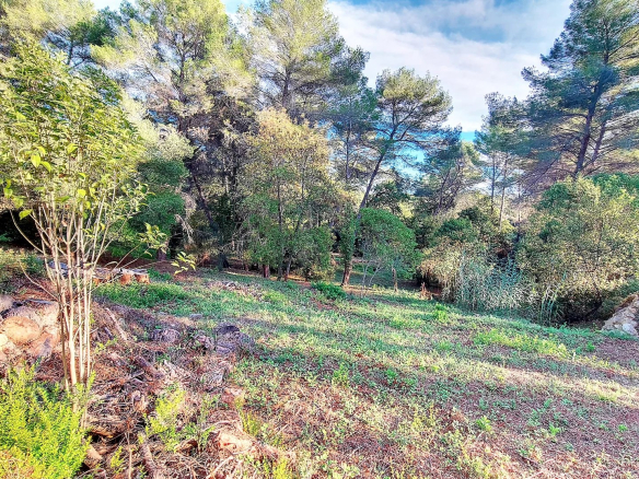 Terrain constructible en zone UDa à Mougins, entouré d'arbres et de verdure.