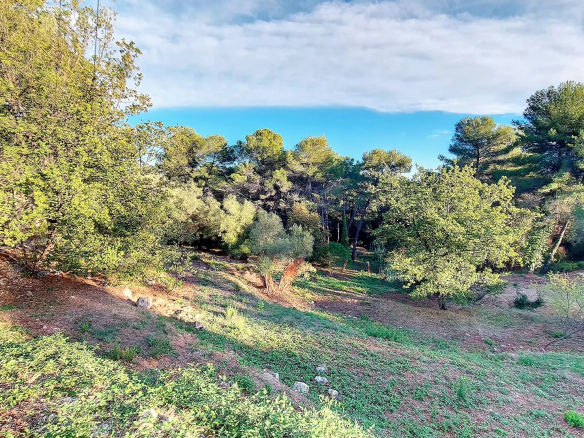 Terrain constructible et viabilisé dans un environnement calme à Mougins, entouré d'arbres.