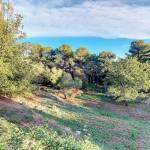 Mougins close to shops – Perfect Calm