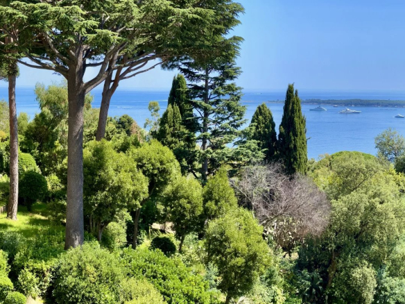 Panoramic sea view and lush park from a residence in Cannes.