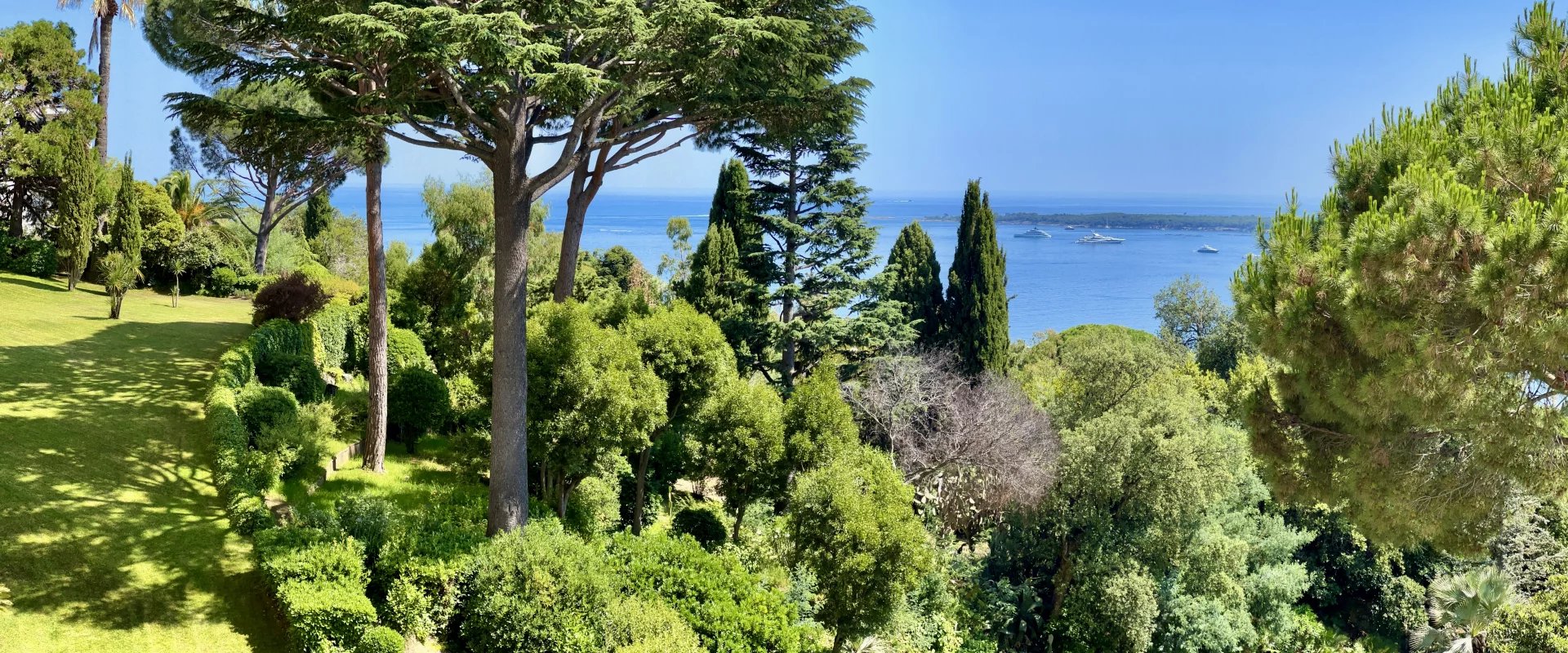 Sea view from a residence in Cannes Panoramic sea view and lush park from a residence in Cannes.