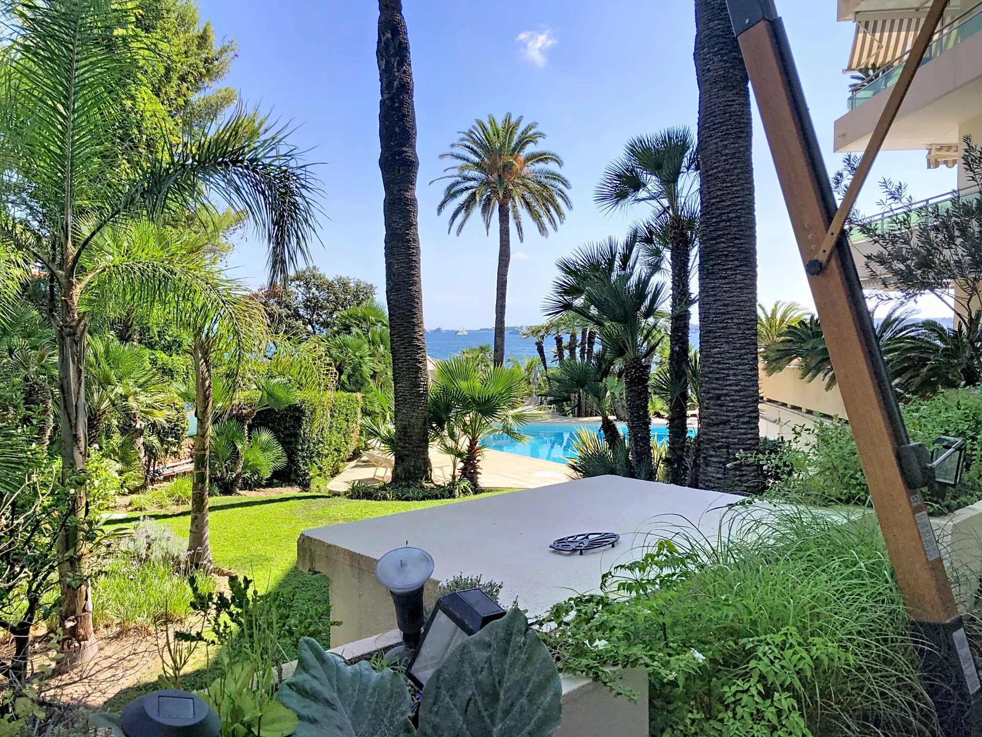 View of a garden with palm trees and a swimming pool, facing the sea in Cannes.
