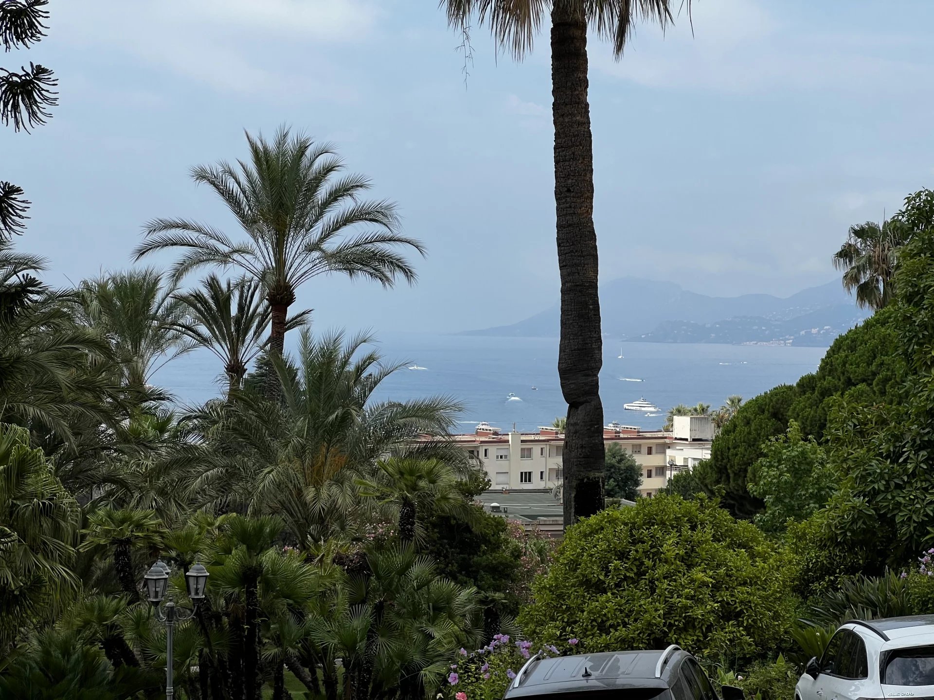Vue mer depuis Cannes Vue sur la mer depuis un parc arboré à Cannes, avec des palmiers au premier plan.