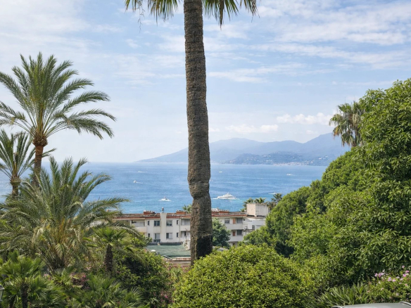 Vue mer depuis un parc arboré à Cannes, avec des palmiers et des bateaux sur l'eau.