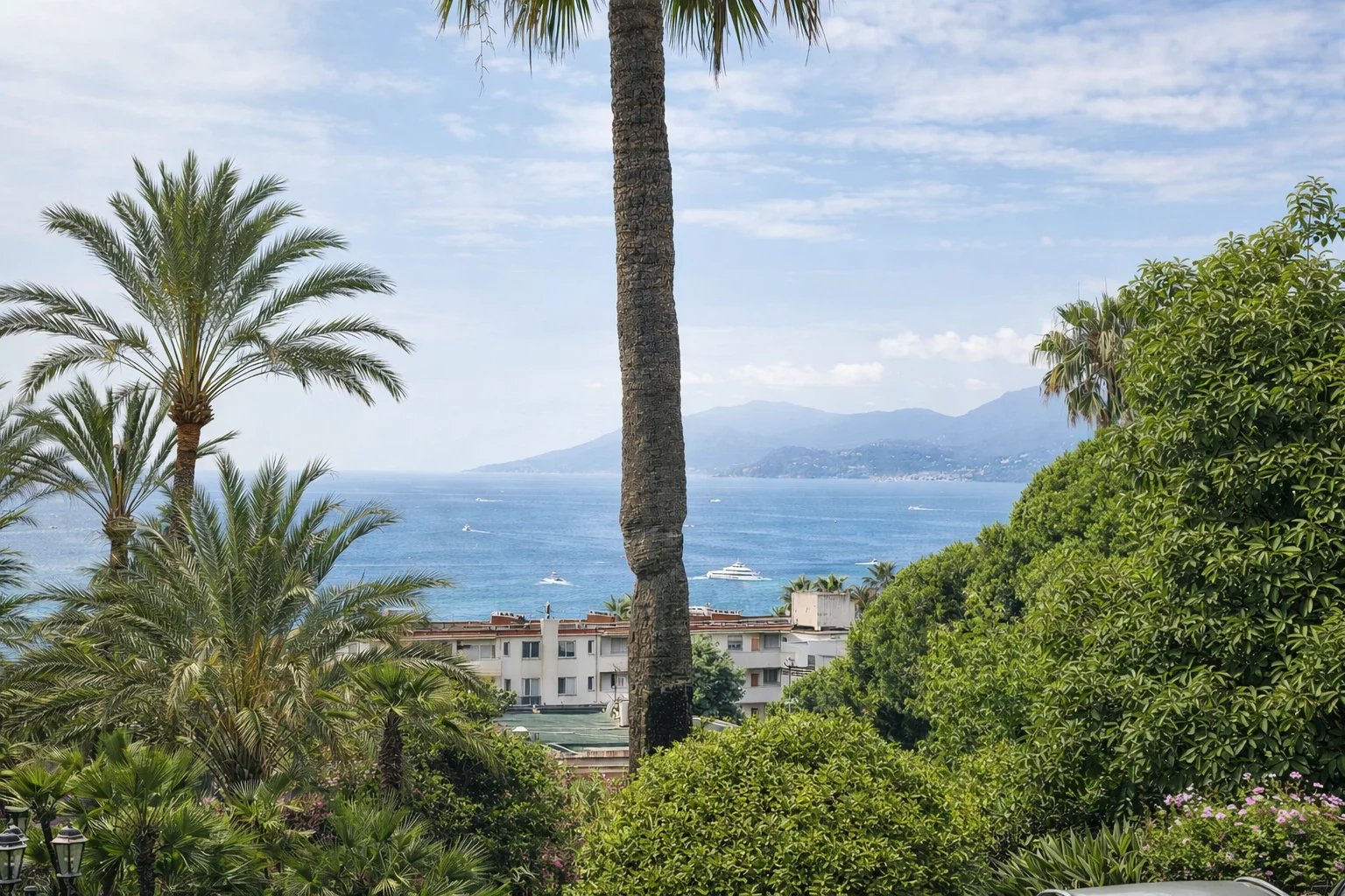 Vue mer à Cannes Vue mer depuis un parc arboré à Cannes, avec des palmiers et des bateaux sur l'eau.