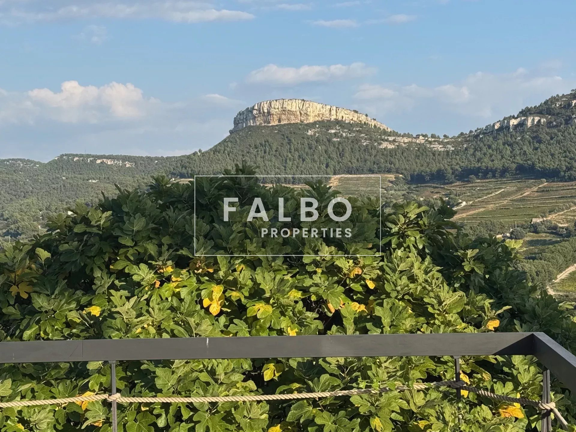 42516a7662398f9143ad62e74fc77e83_1f91605d30_1920-original