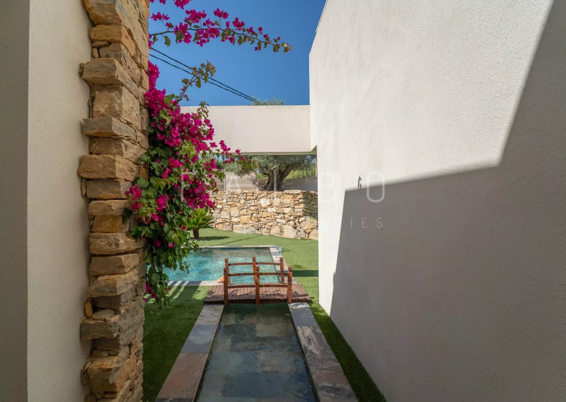 View of a garden with swimming pool and flowers, contemporary villa in La Ciotat.