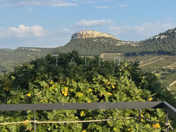 Vue sur le cap Canaille depuis une villa à Cassis, entourée de vignes et de verdure.
