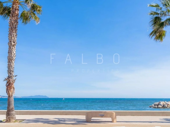 Vue sur la mer depuis une promenade avec des palmiers à La Ciotat.