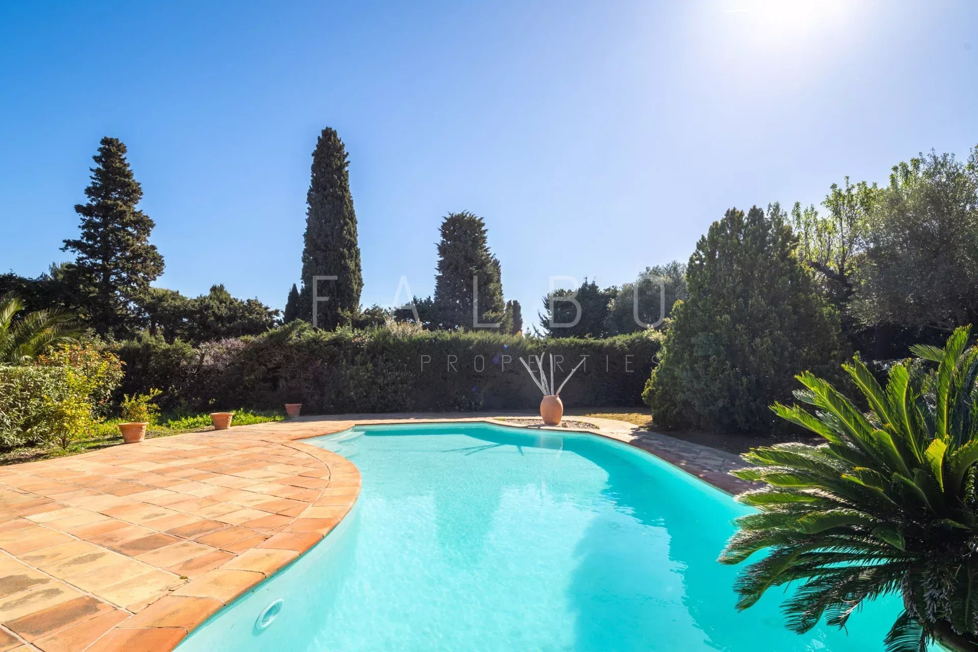 Swimming pool surrounded by greenery in a villa with access to the sea in La Ciotat.