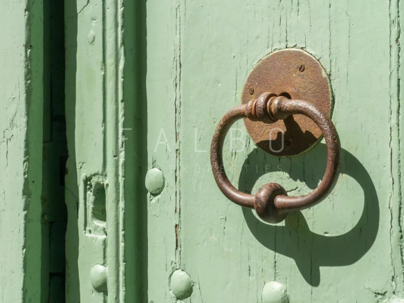 Poignée de porte en métal sur une porte en bois verte