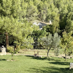 Maison sur plus de 2 hectares de terrain