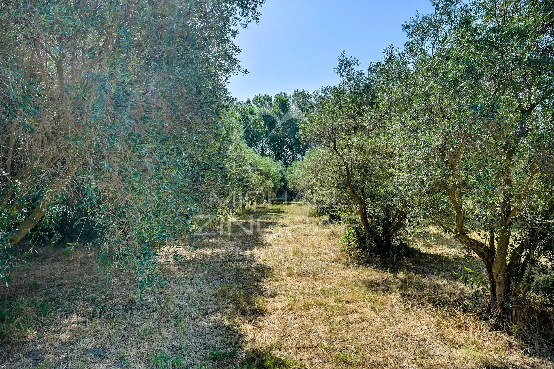 1f49f62ae9f8b53a4d9a7c229daa3855_492a44e928_1920-original