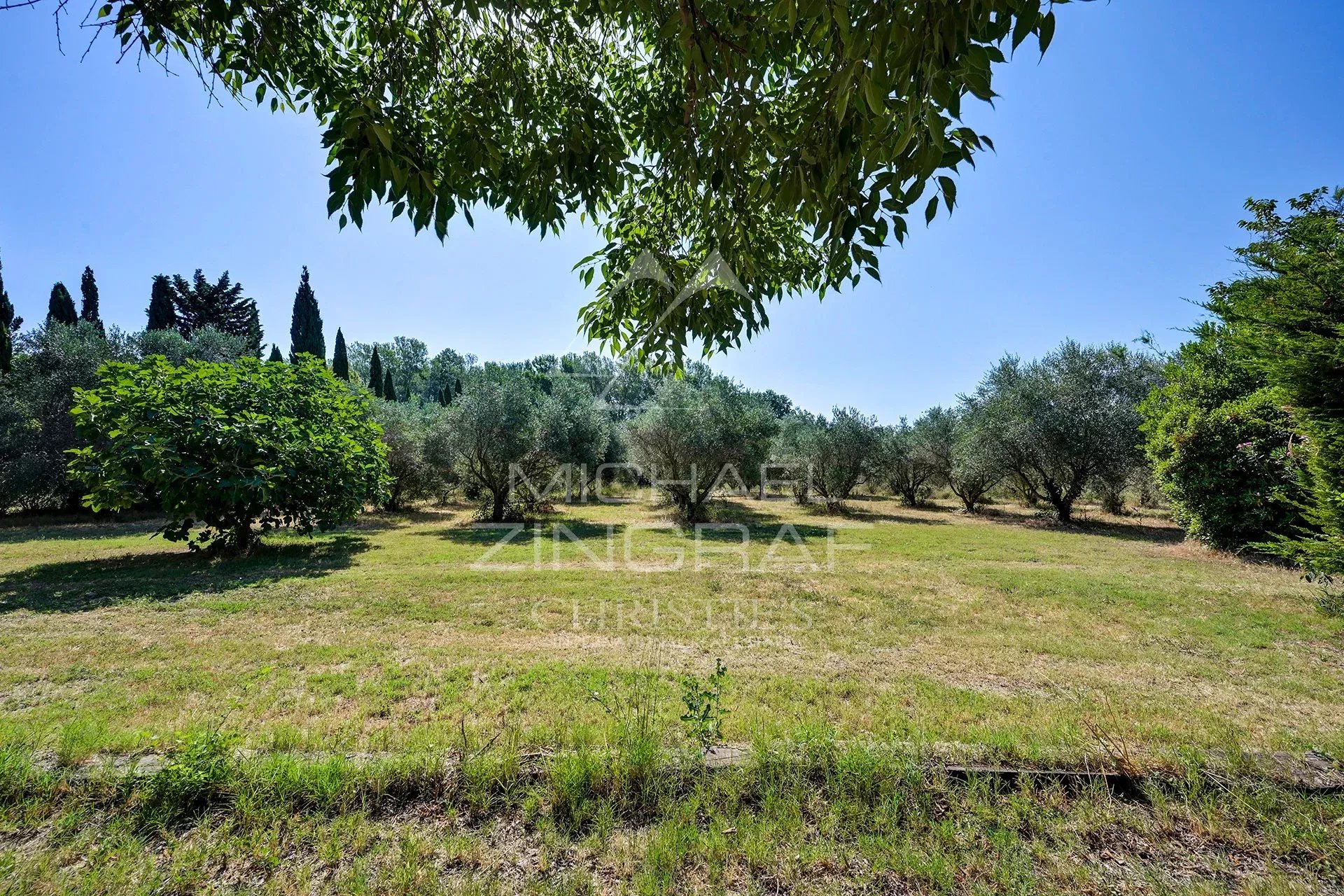 77ce79394bf13ca69d93978ff7131ea7_d8abf02f64_1920-original