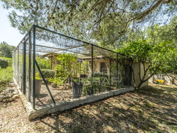 Jardin d'une villa contemporaine avec un enclos en grillage et des arbres, Lauris.