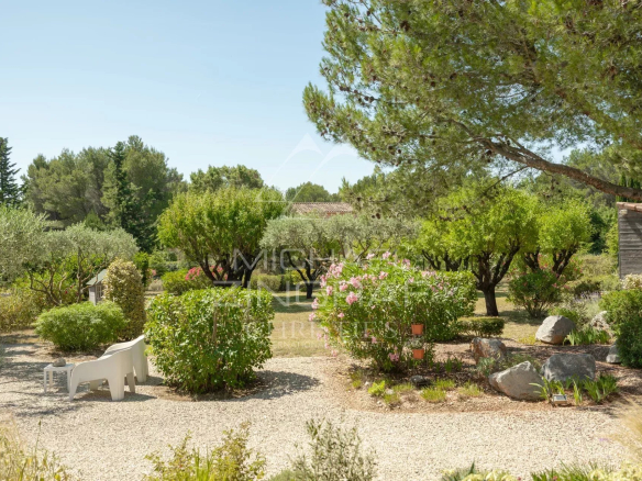 Jardin paysager d'une villa contemporaine avec arbres et fleurs à Lauris.