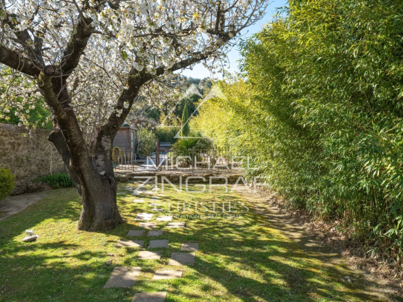 Jardin d'une demeure provençale avec un arbre en fleurs et des haies.