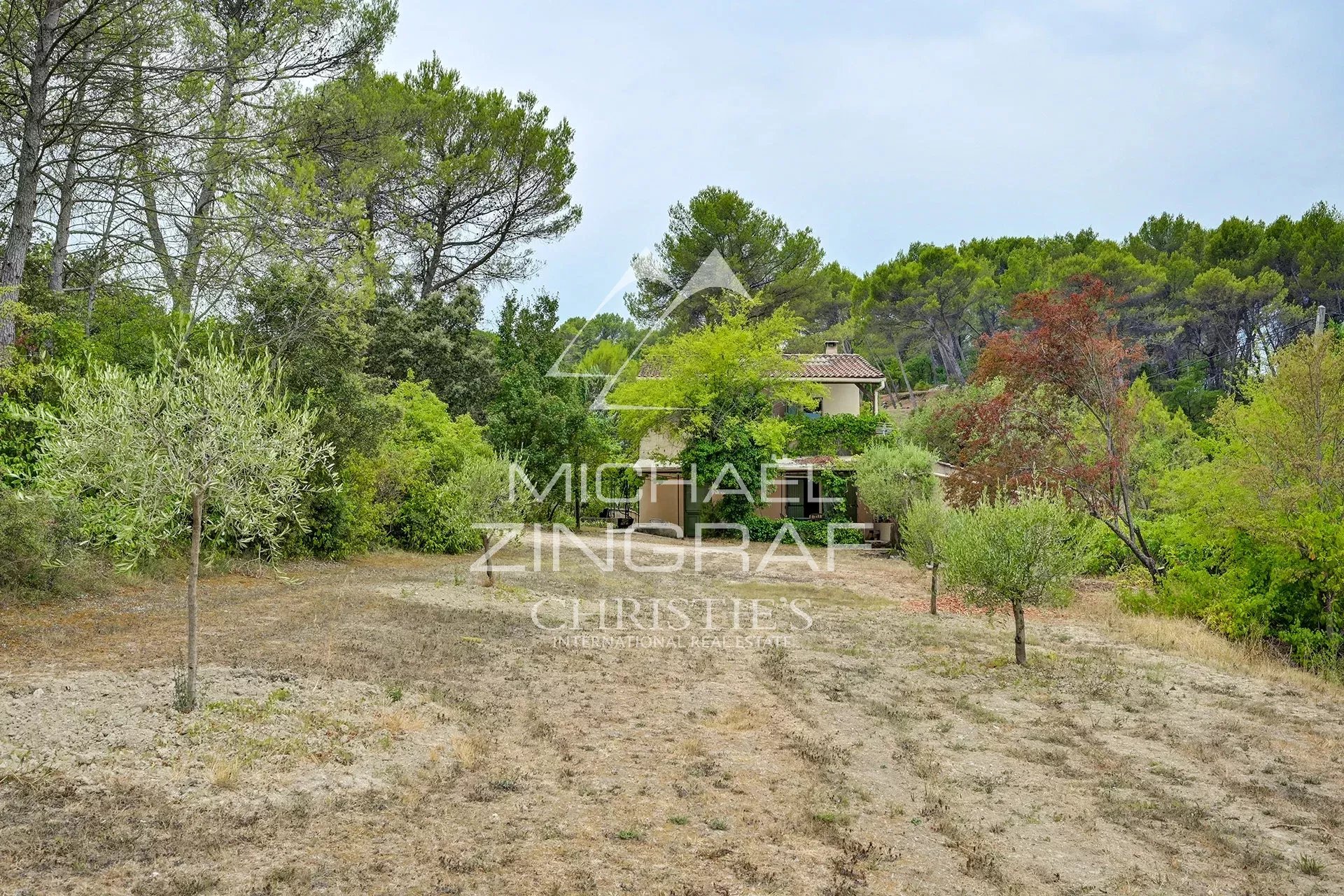 Family home with olive grove and 8000 m² of land in Fuveau, near Aix en Provence.