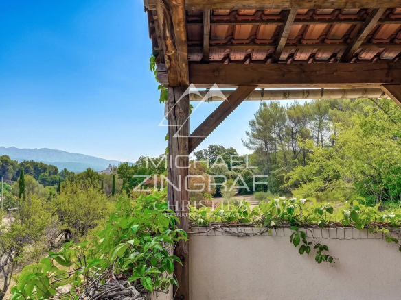Unobstructed view from a wooden terrace, surrounded by greenery and olive trees.