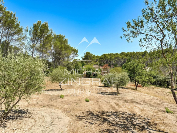 Land with olive trees and vegetation in a rural setting near Fuveau, Provence.