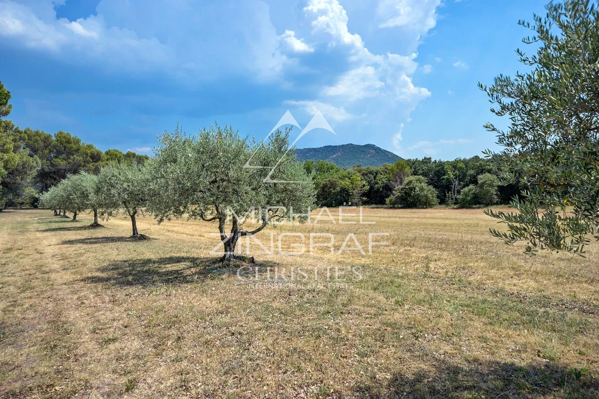 Provençal country house in the heart of an estate Field with olive trees and hills in the background, Jouques, Provence.