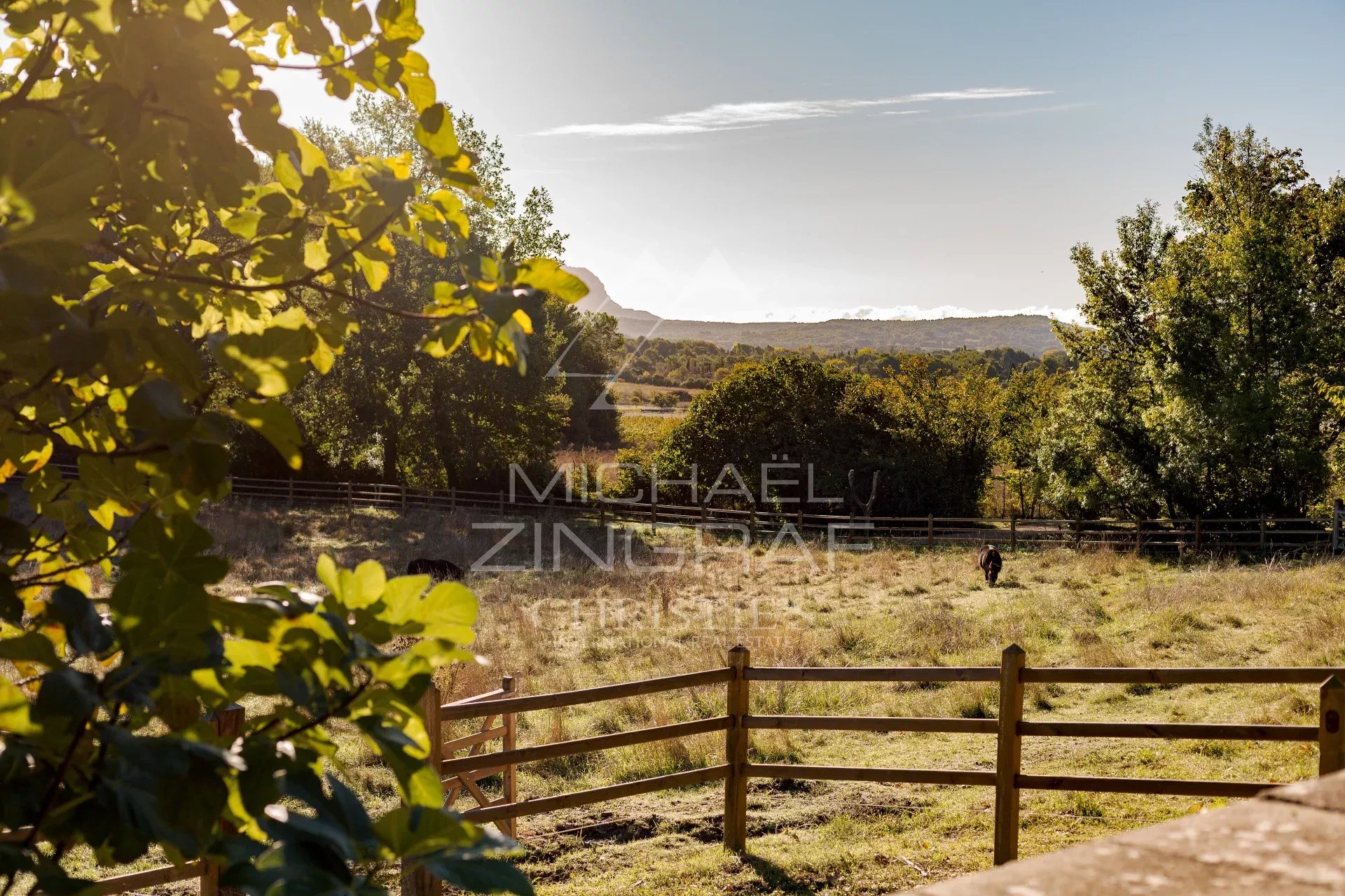 Propriété au cœur de la campagne aixoise Vue d'un parc paysager avec des arbres et une clôture en bois, au cœur de la campagne aixoise.