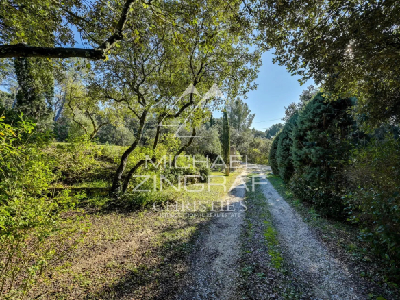 Chemin menant à une maison entourée de verdure et d'arbres dans une pinède.