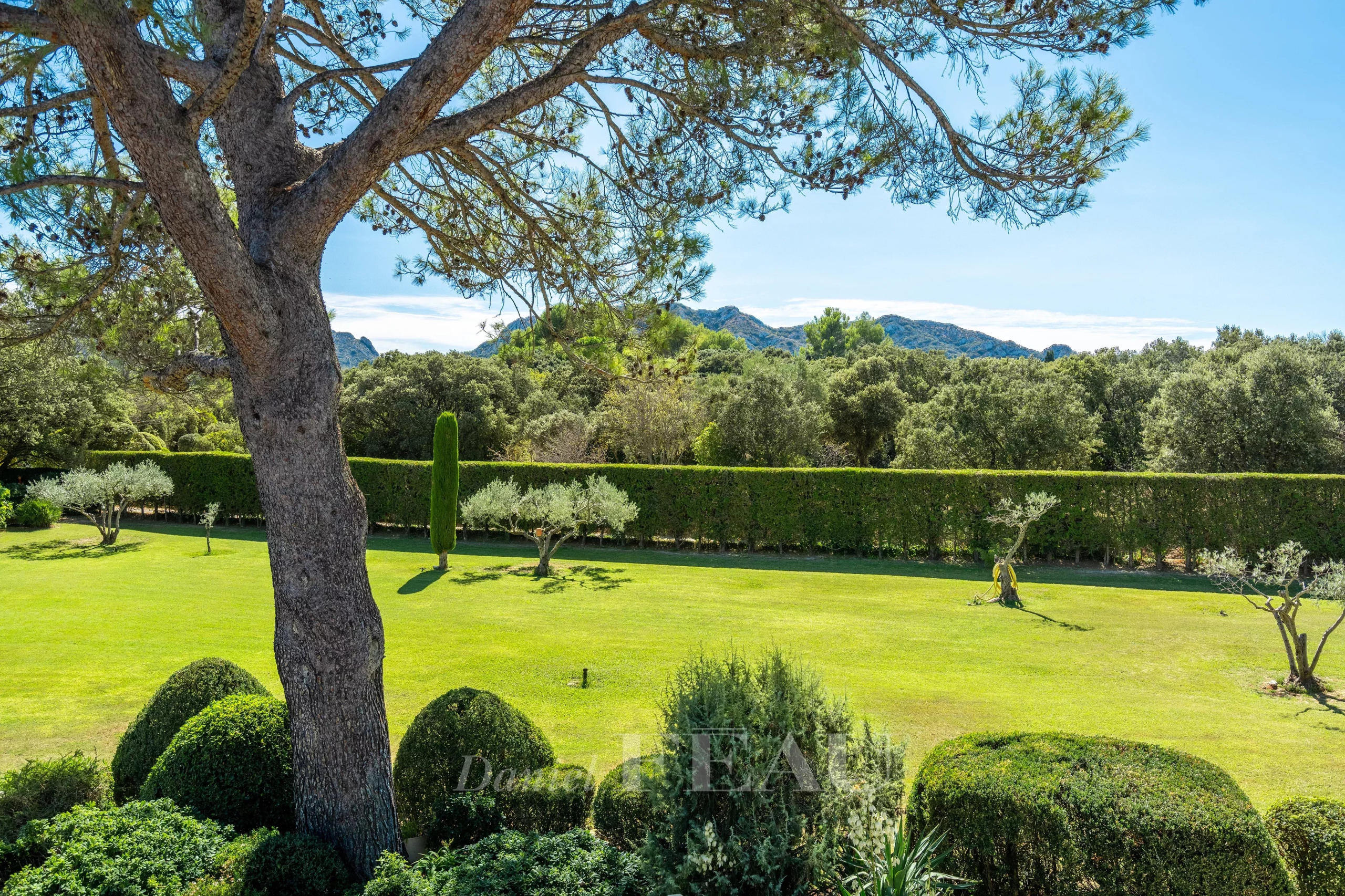 6a86345cbb5b0df62a67ce0965707f02_64f0168ef6_4096-original