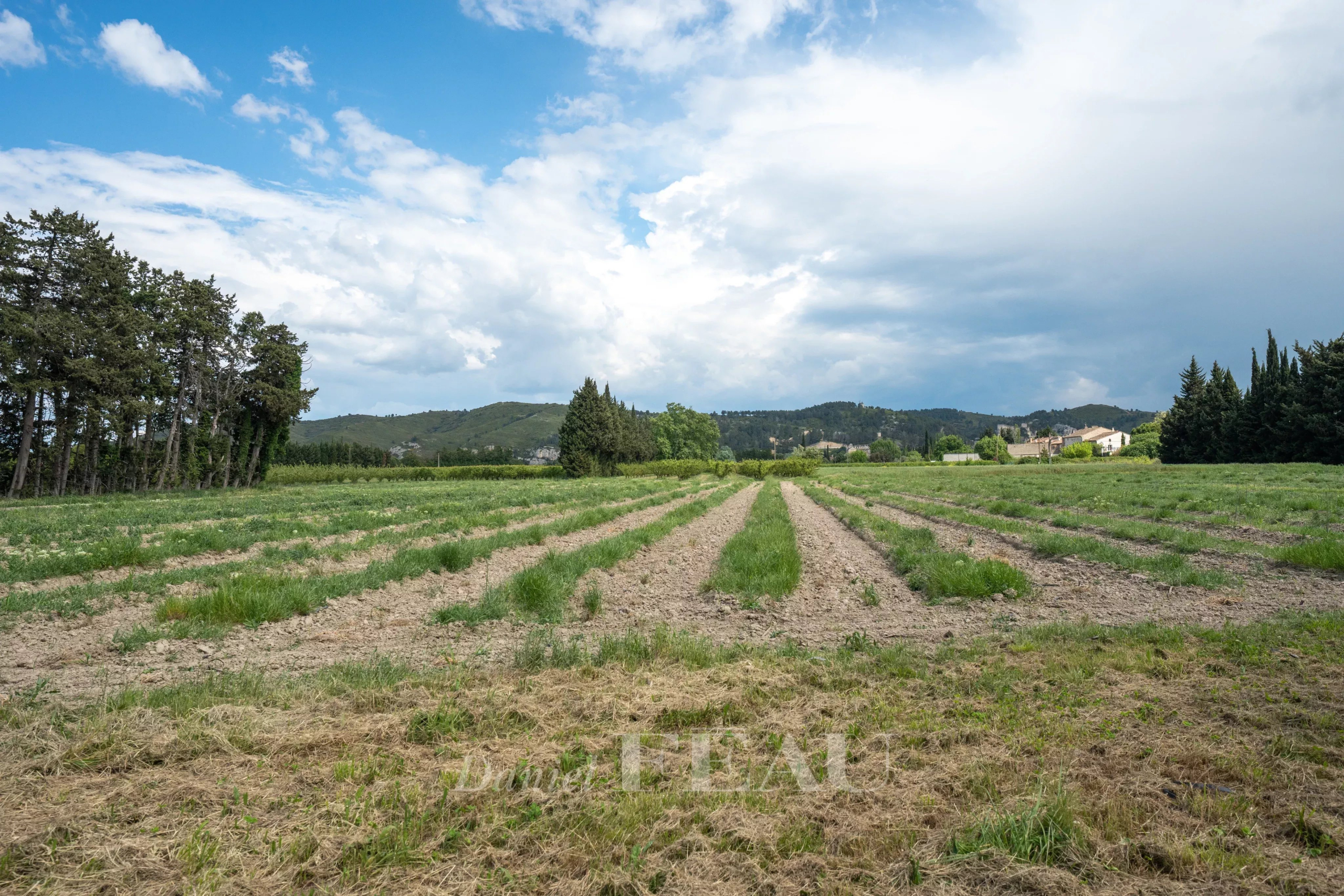 955a5f4b232a064e7c27fb6e318a86d0_68c54f2ee9_4096-original