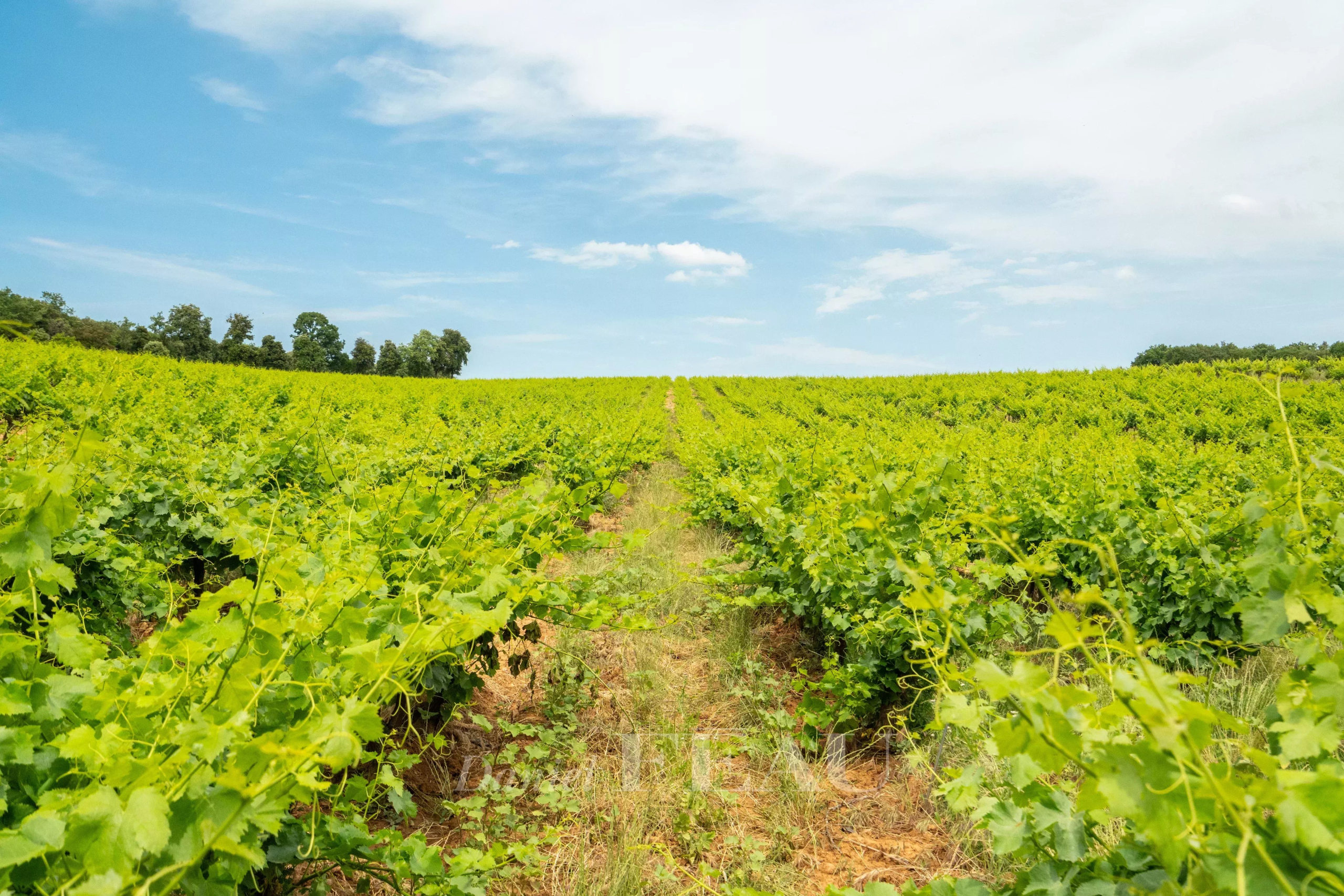 aaeca4211c80d41a20557fa7255490df_fc668aa5f3_4096-original