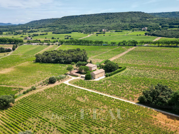 Gard provençal – Propriété viticole