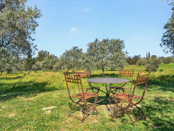 Round metal outdoor table with four lattice-back chairs in a sunlit meadow surrounded by olive trees and yellow wildflowers under a clear blue sky.