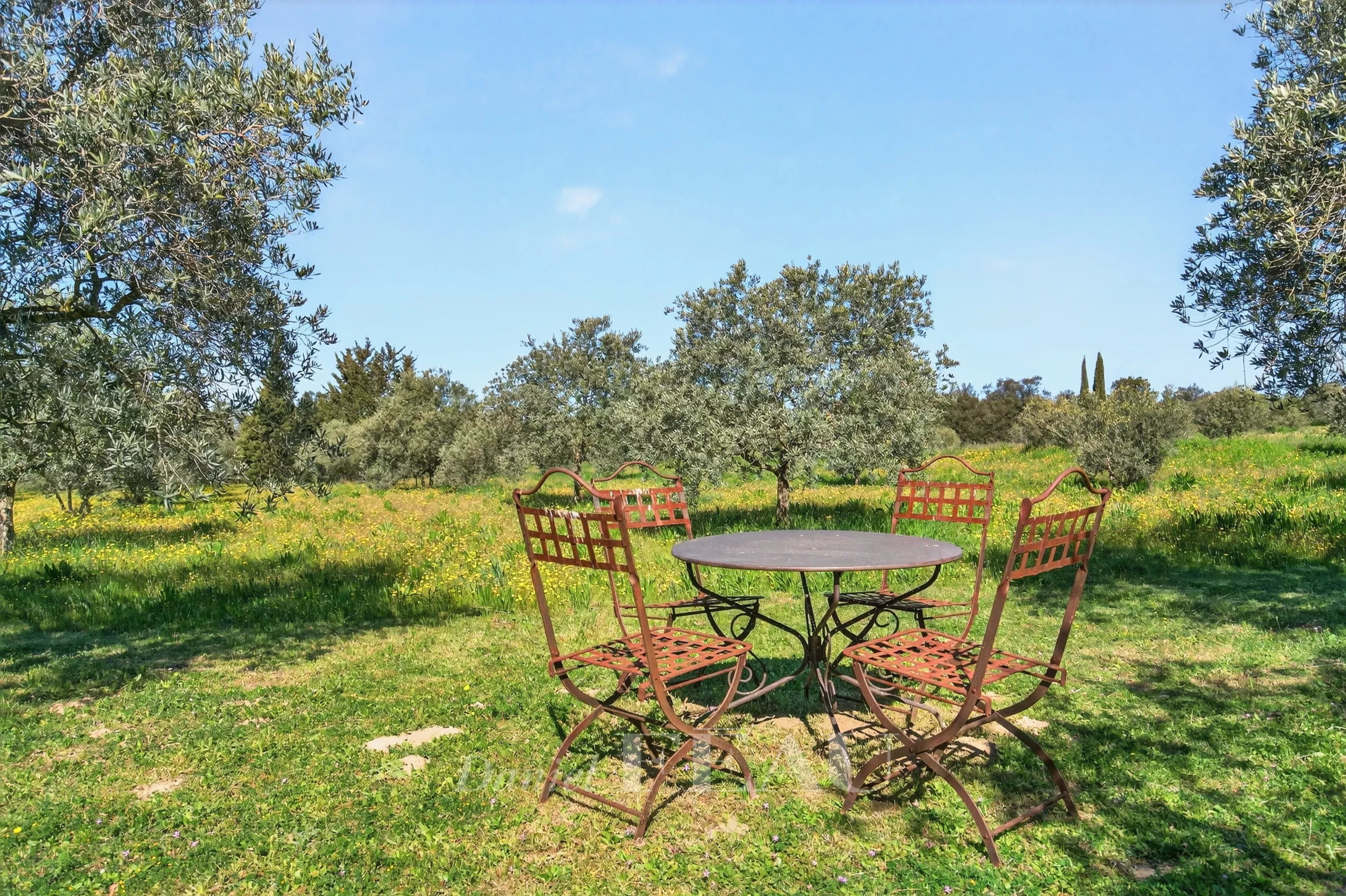 Round metal outdoor table with four lattice-back chairs in a sunlit meadow surrounded by olive trees and yellow wildflowers under a clear blue sky.