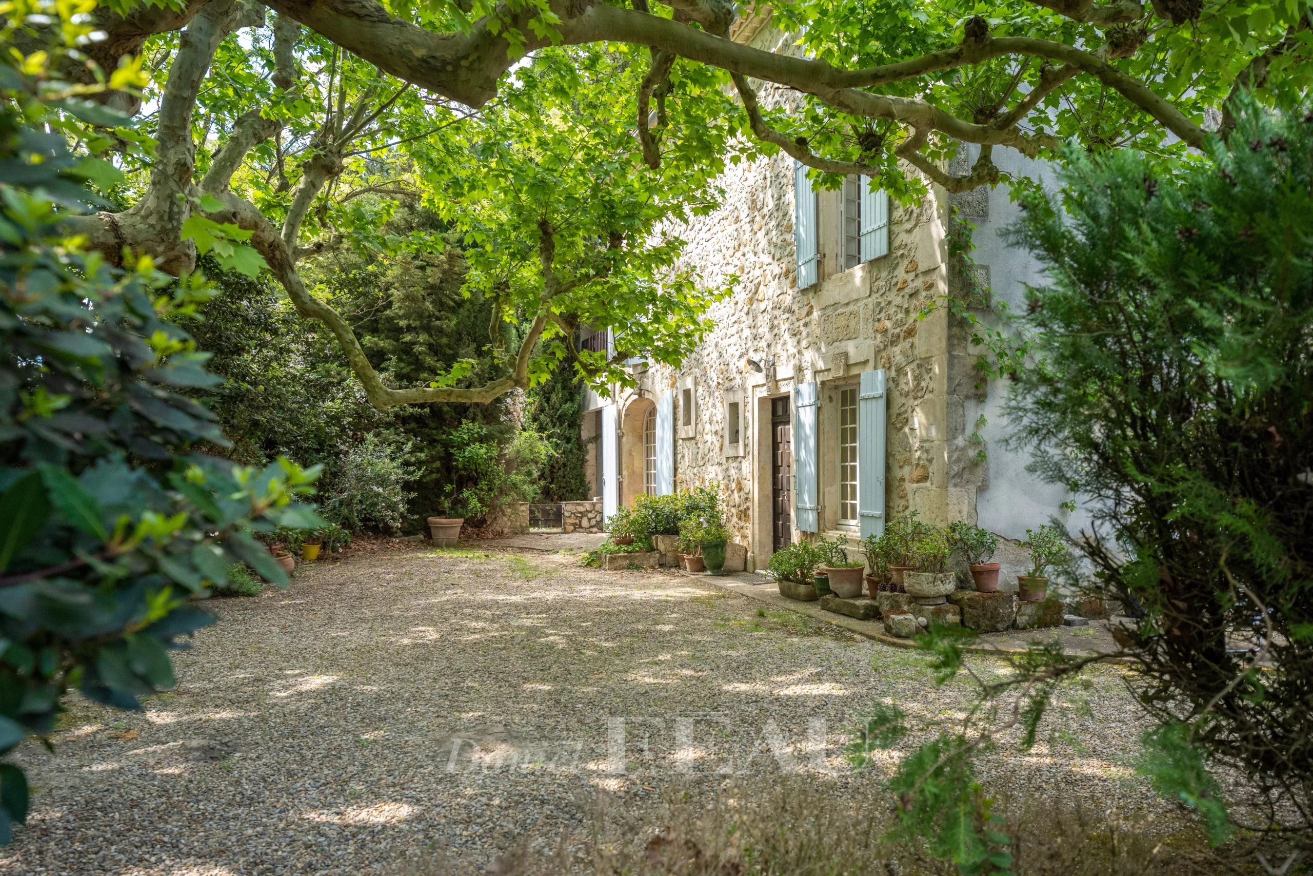 Mas en pierre à rénover entouré d'arbres et de plantes, situé à Boulbon.